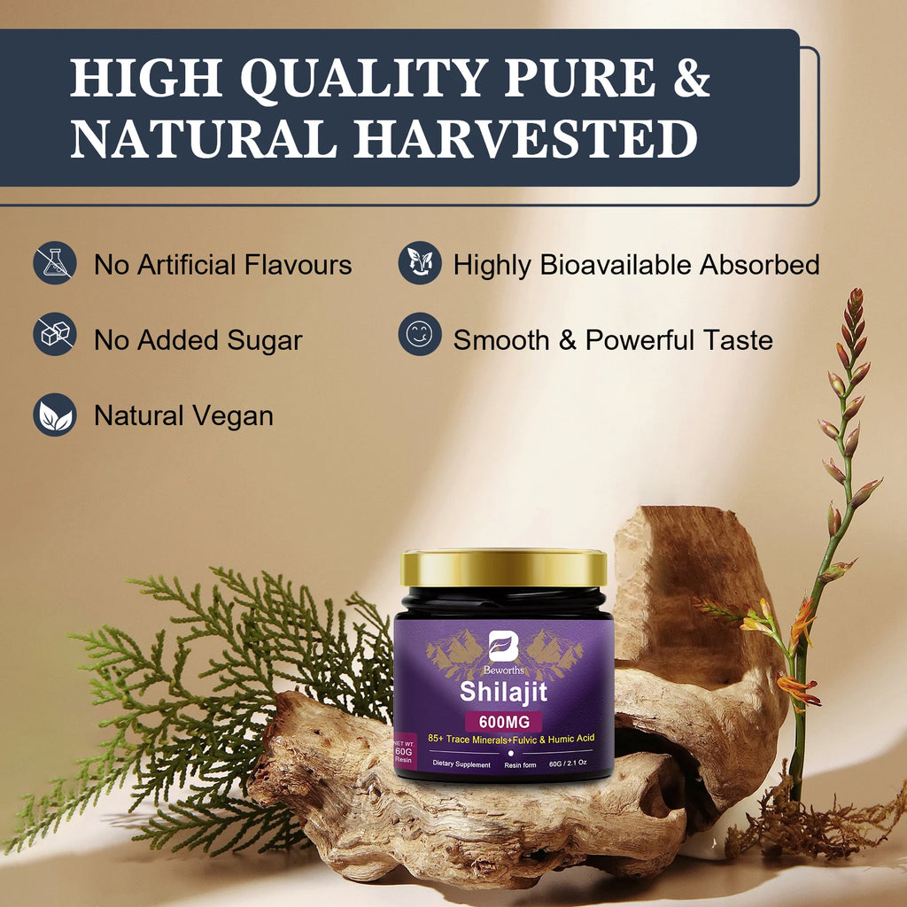 BEWORTHS 2Bottles Shilajit Resin Himalayan Shilajit Paste Original