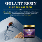 BEWORTHS 2Bottles Shilajit Resin Himalayan Shilajit Paste Original