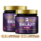 BEWORTHS 2Bottles Shilajit Resin Himalayan Shilajit Paste Original