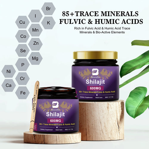 BEWORTHS 2Bottles Shilajit Resin Himalayan Shilajit Paste Original